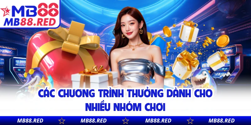 Các chương trình thưởng dành cho nhiều nhóm chơi